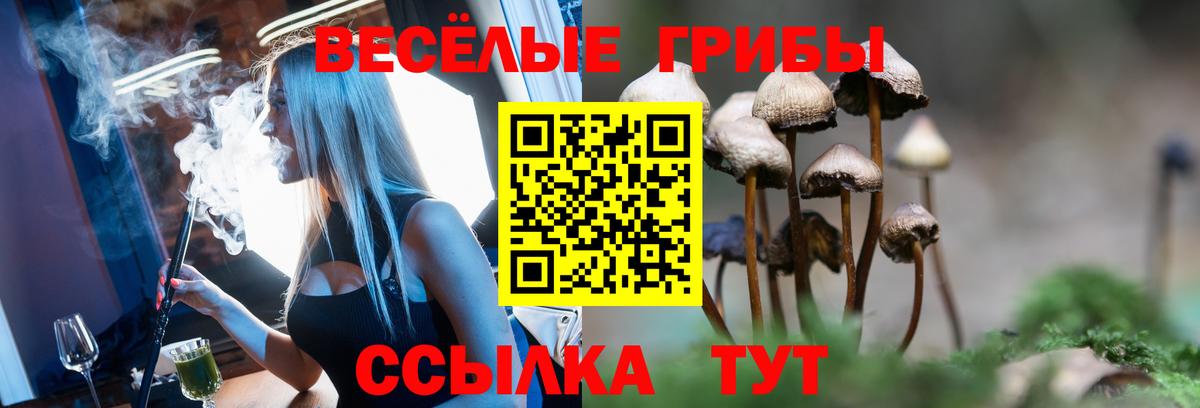 Галлюциногенные грибы мицелий  Вход с VPN  Владикавказ 